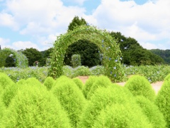 花夢の里