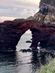 隠岐の島
