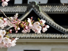 松江城