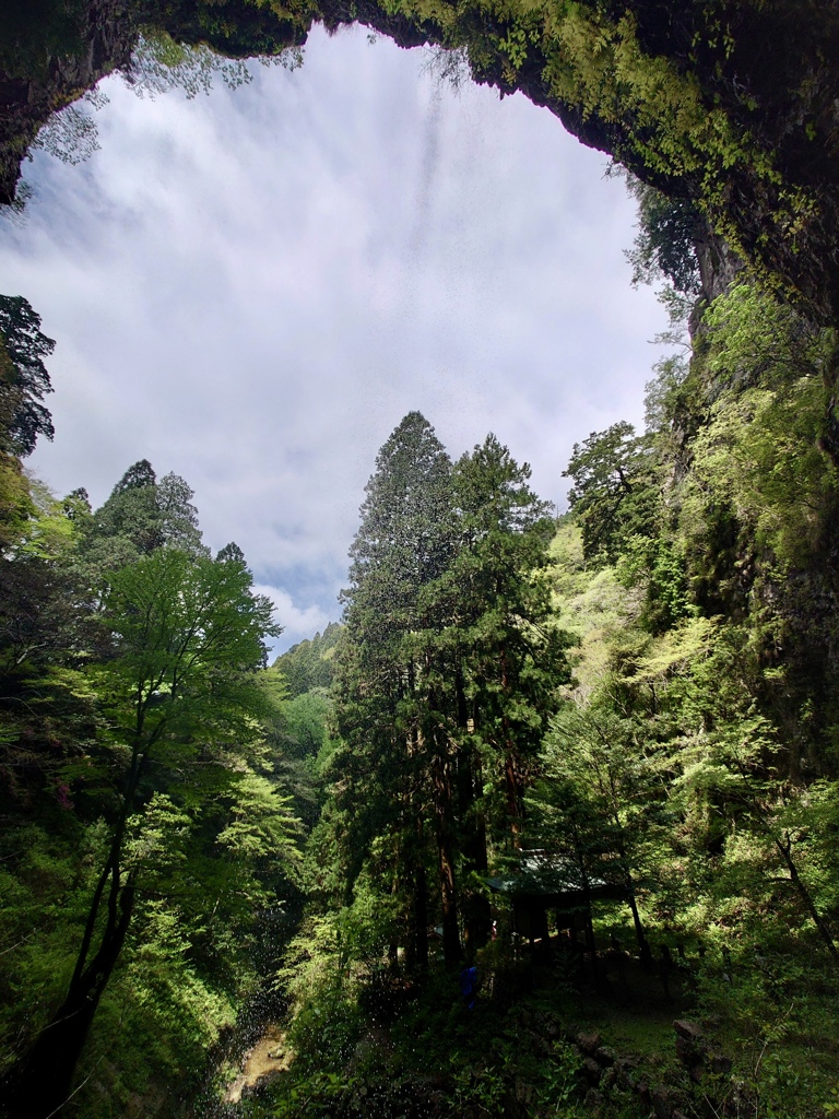 隠岐の島