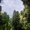 隠岐の島