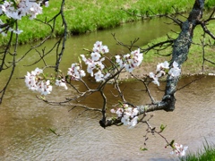 玉造温泉
