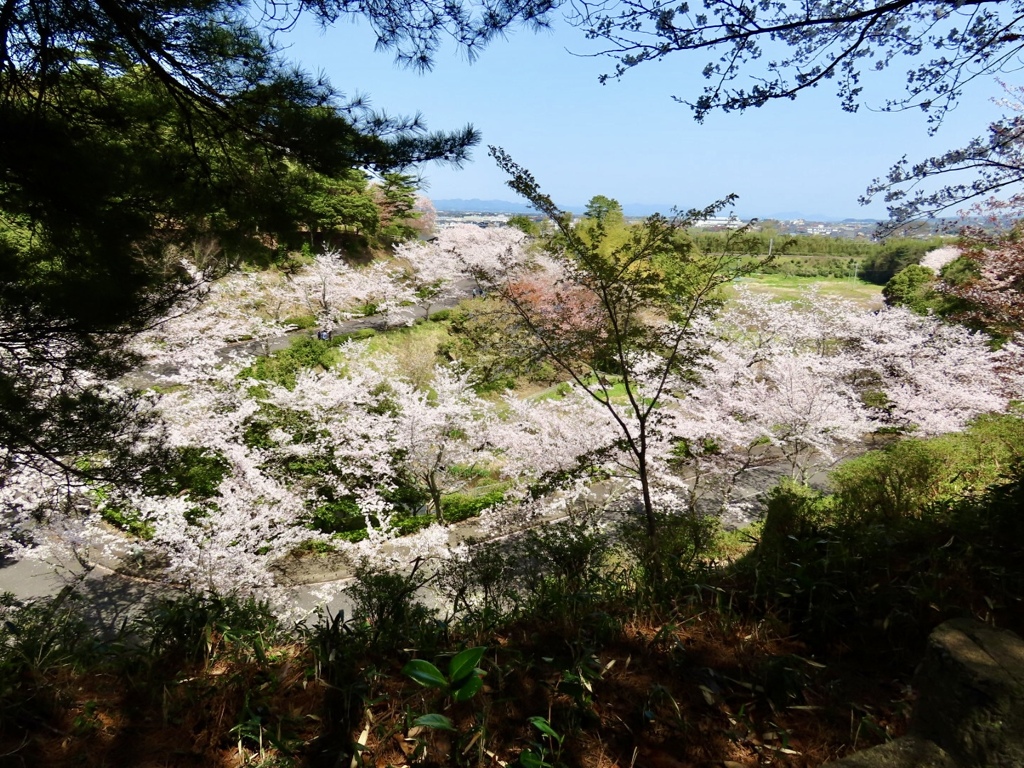 斐川公園