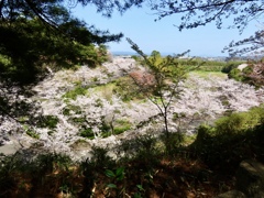 斐川公園