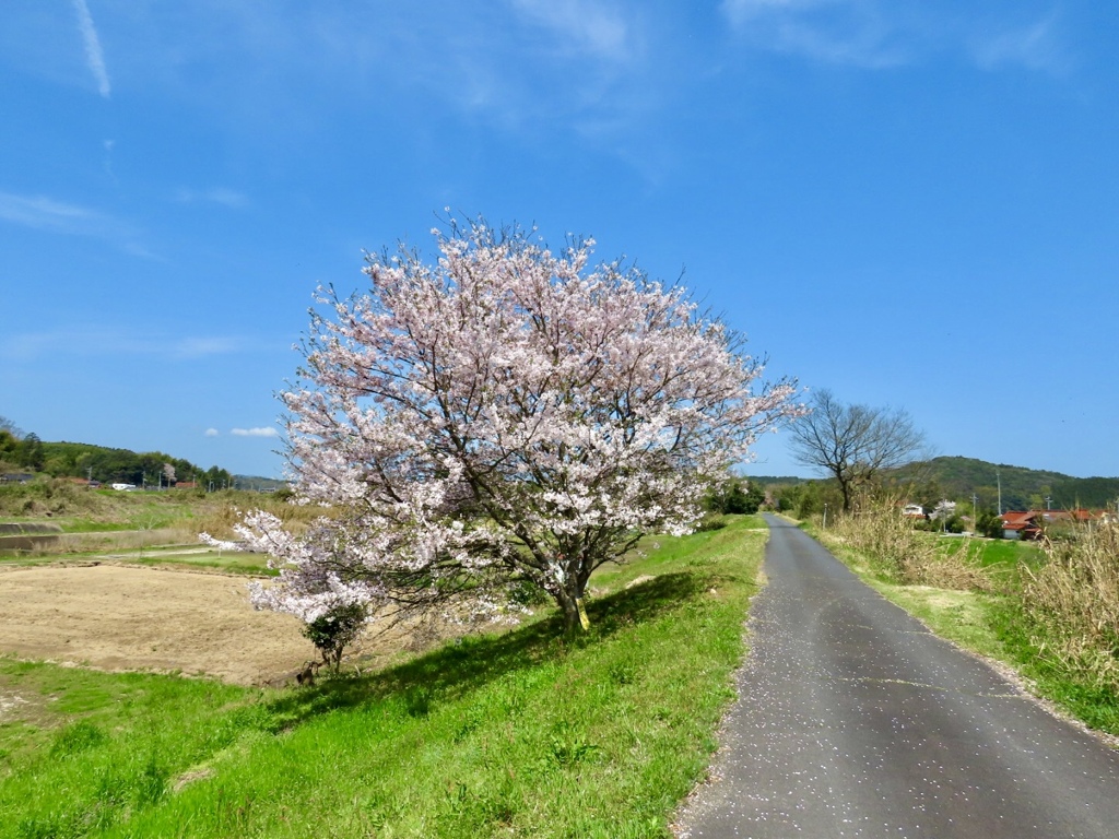 安来 伯太町