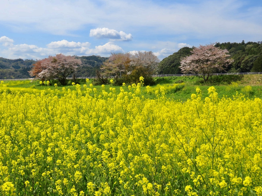 安来 伯太町