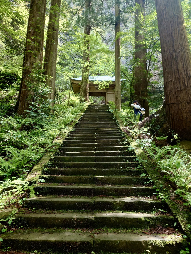 隠岐の島