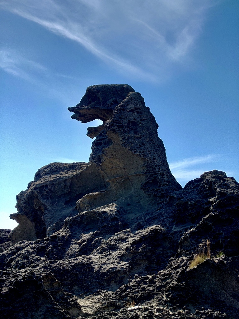 ゴジラ岩