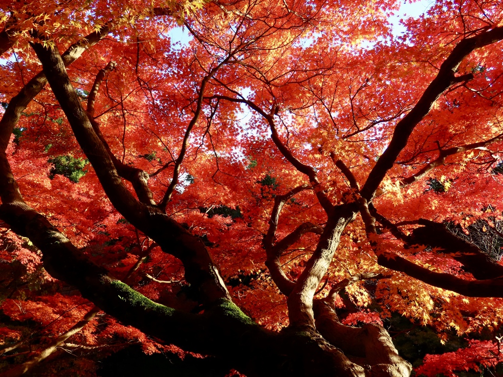 田原神社