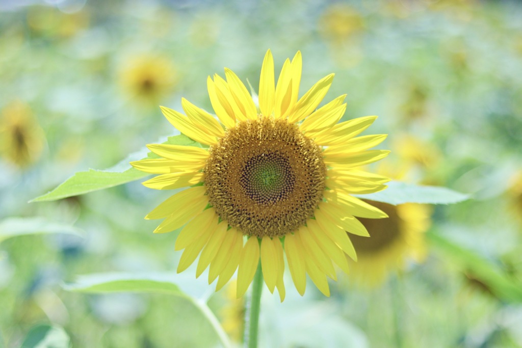 守山なぎさ公園