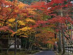 佛通寺