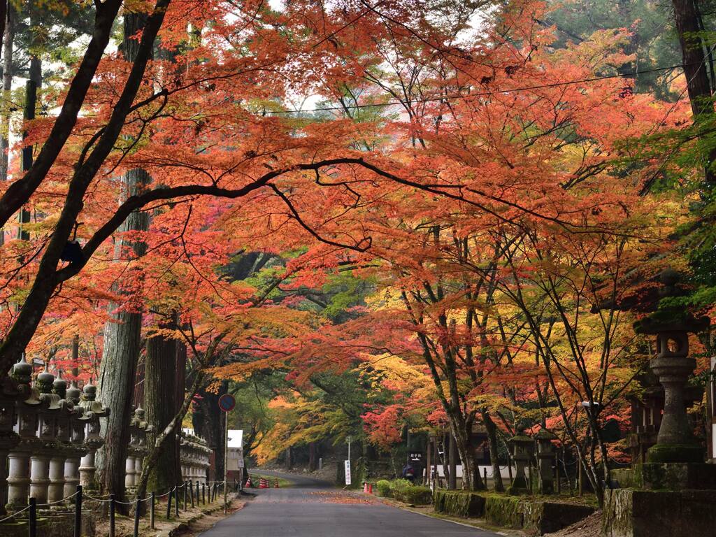 佛通寺