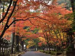 佛通寺