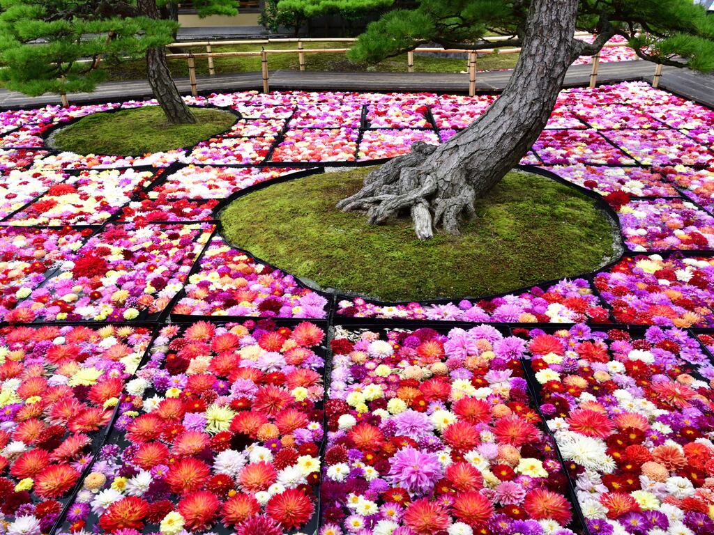 由志園　