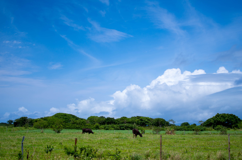 夏空