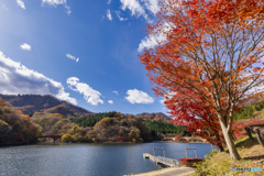 碓氷峠の秋（群馬）