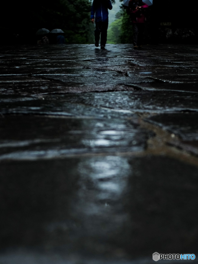 雨の日の日光