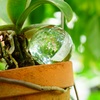 植木鉢と水晶