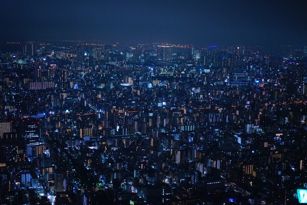 夜景