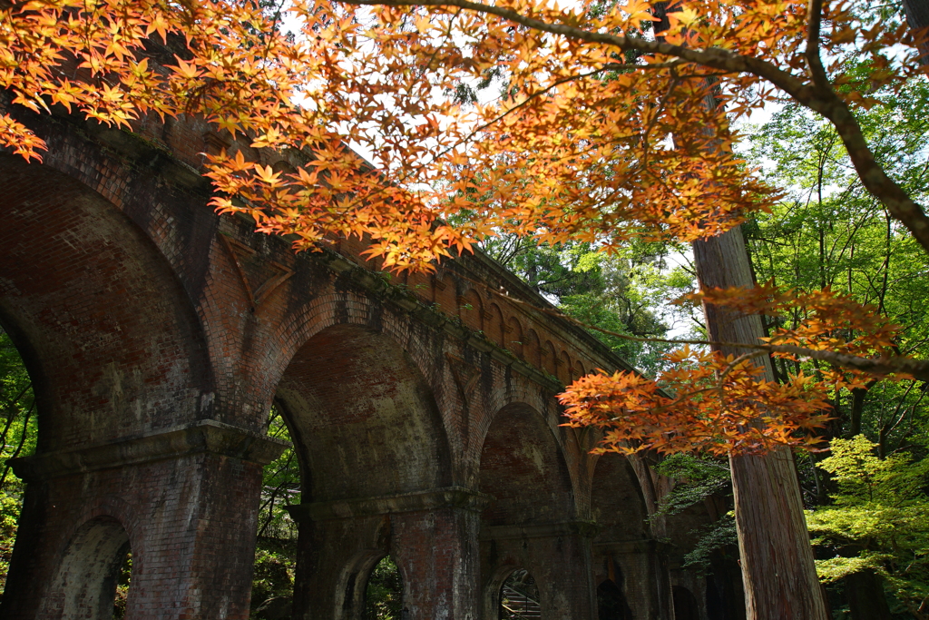 紅葉と南禅寺