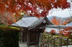 三千院2018-1　御殿門②