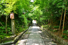 高台寺2022　7月　台所坂下り
