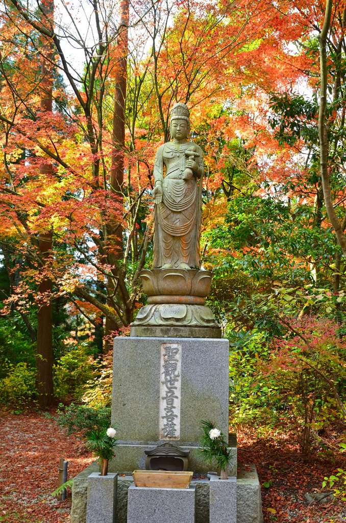 呑山観音寺2019-1　聖観世音菩薩像＆もみじ