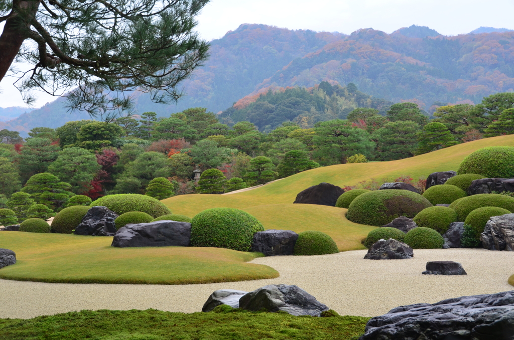 足立美術館2017　11月　日本庭園④