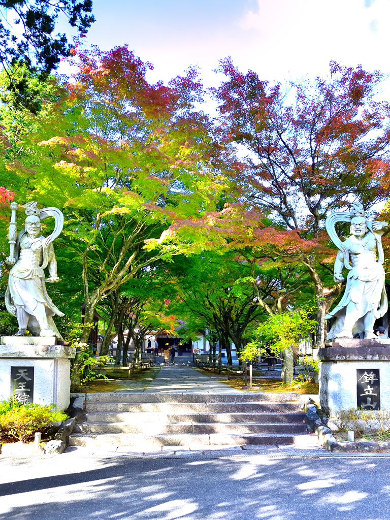 呑山観音寺2022　10月-5　天王院参道②
