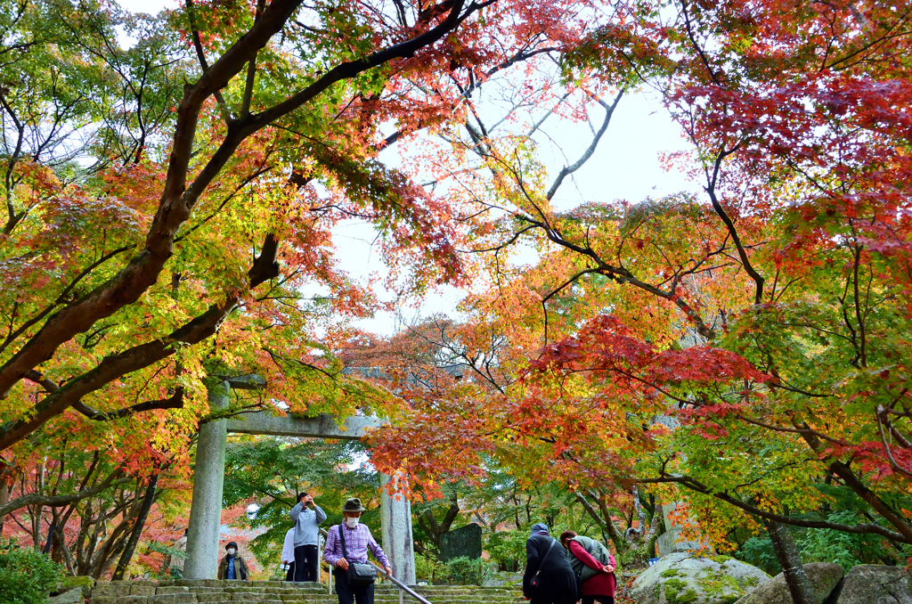 竈神社2022　11月　参道①