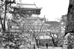小倉城2023　冬景色-1　天守閣②