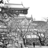 小倉城2023　冬景色-1　天守閣②
