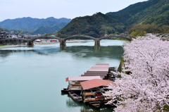 岩国2024　春-01　屋形船と錦帯橋
