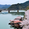岩国2024　春-01　屋形船と錦帯橋