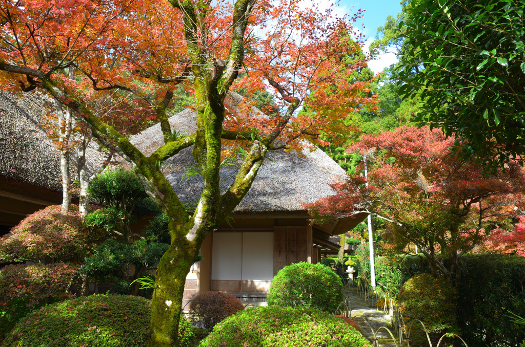 九年庵2019-1　仏間から居間棟