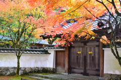 呑山観音寺2021　秋-01　客殿正門