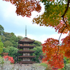 瑠璃光寺2022　11月-1　五重塔と紅葉