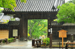 雨の金閣寺　総門