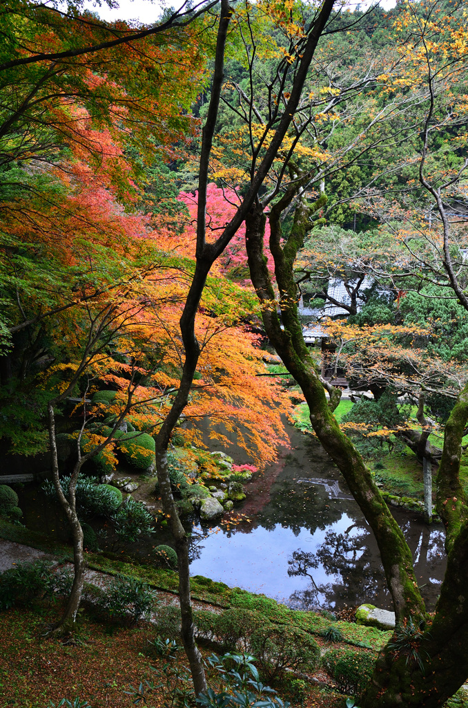 雷山千如寺2019　11月　回廊より心字庭園
