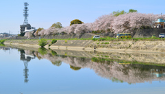 英彦山川2022　4月　桜と消防本部鉄塔