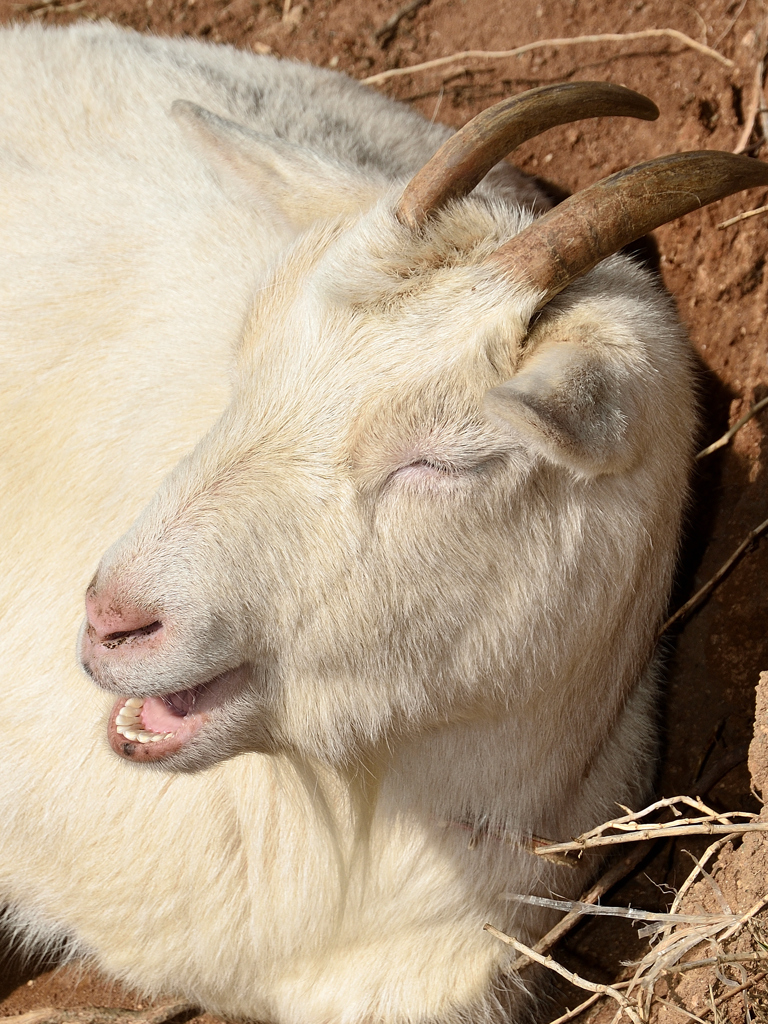 農事センター2022　2月-02　陽だまり①