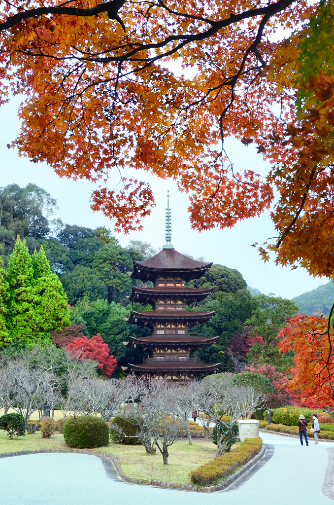 瑠璃光寺2020　11月　五重塔③0