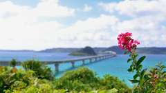 角島2023　夏-02　角島大橋②