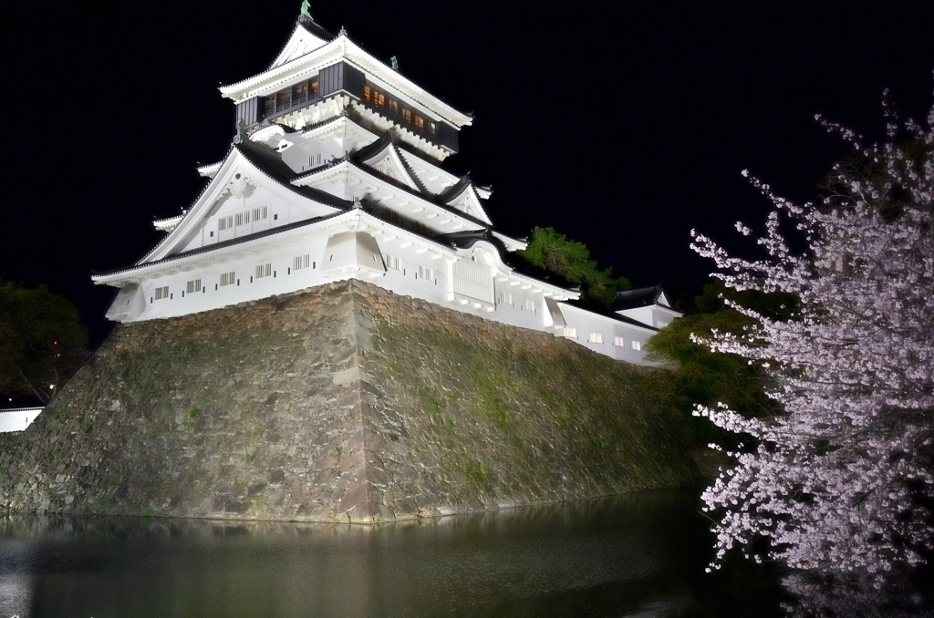 小倉城2022　4月　夜桜と天守閣①