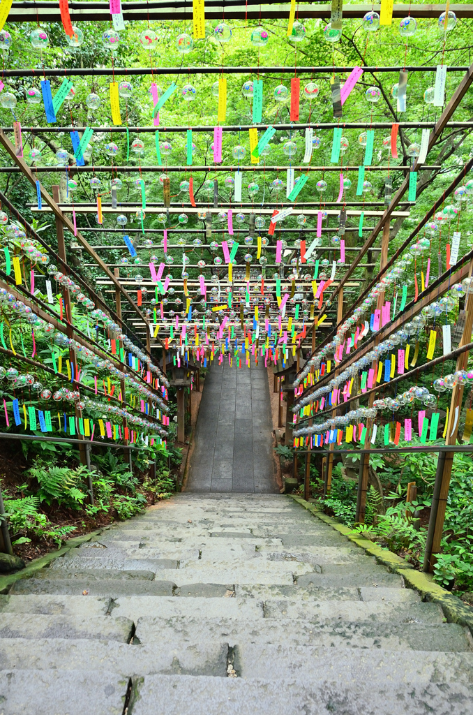 如意輪寺2020　7月-5　風鈴　境内から参道