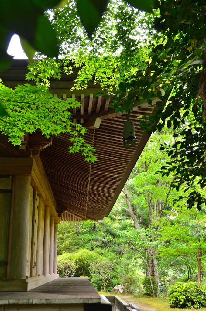 両子寺2022　5月-2　大講堂