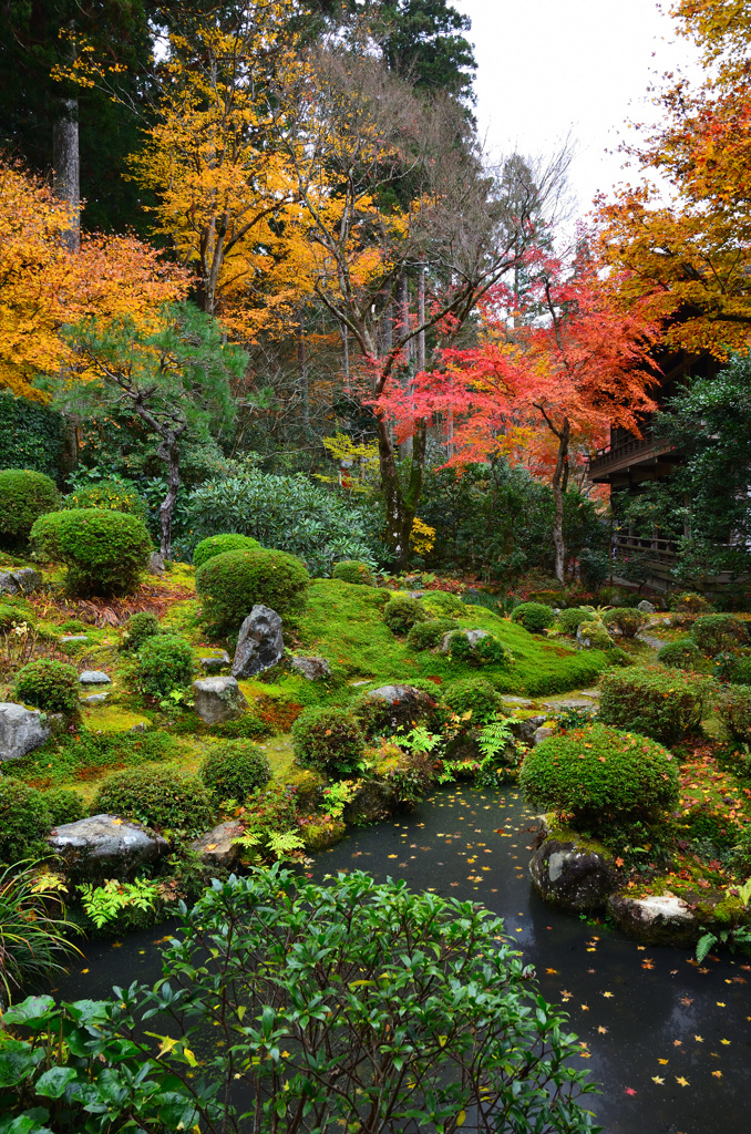 三千院2018-3　聚碧園③