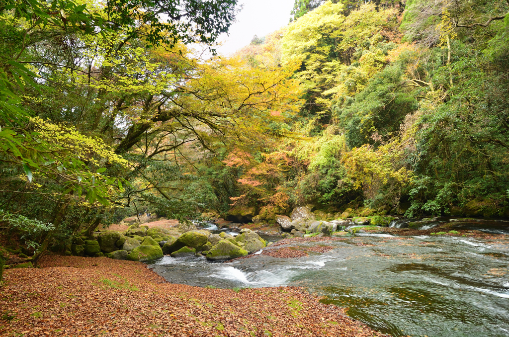 菊池渓谷2021　秋-1　渓流③