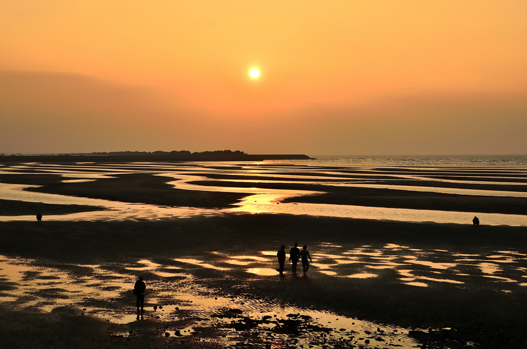 真玉海岸2020　2月-6　夕陽と干潟②