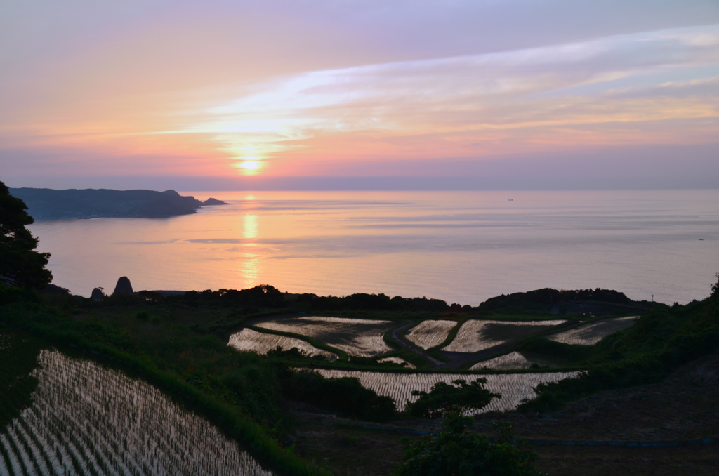 東後畑棚田2022　6月　彩　サンロード